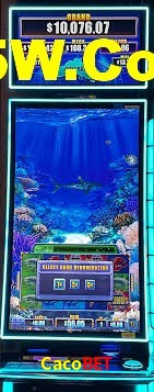 Aviator Game Cacobet